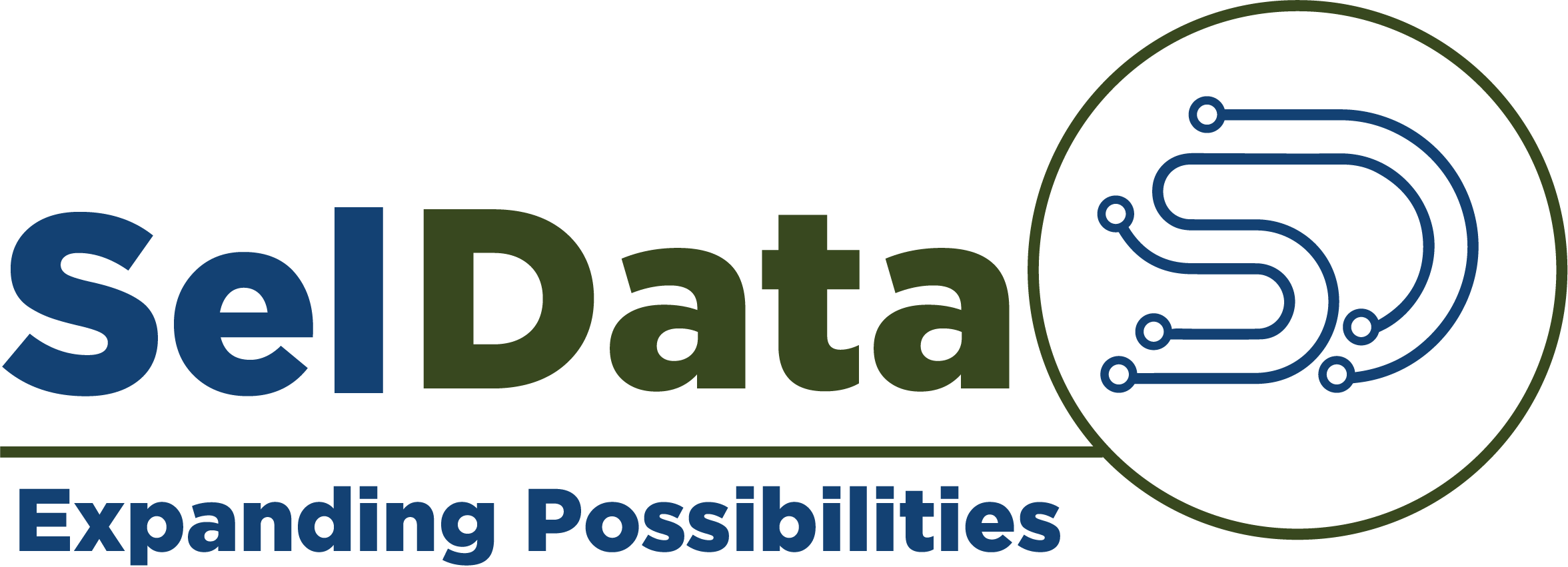 SelData Solutions